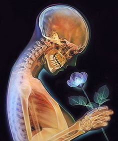 Herramientas RIS Y PACS SYNAPSE