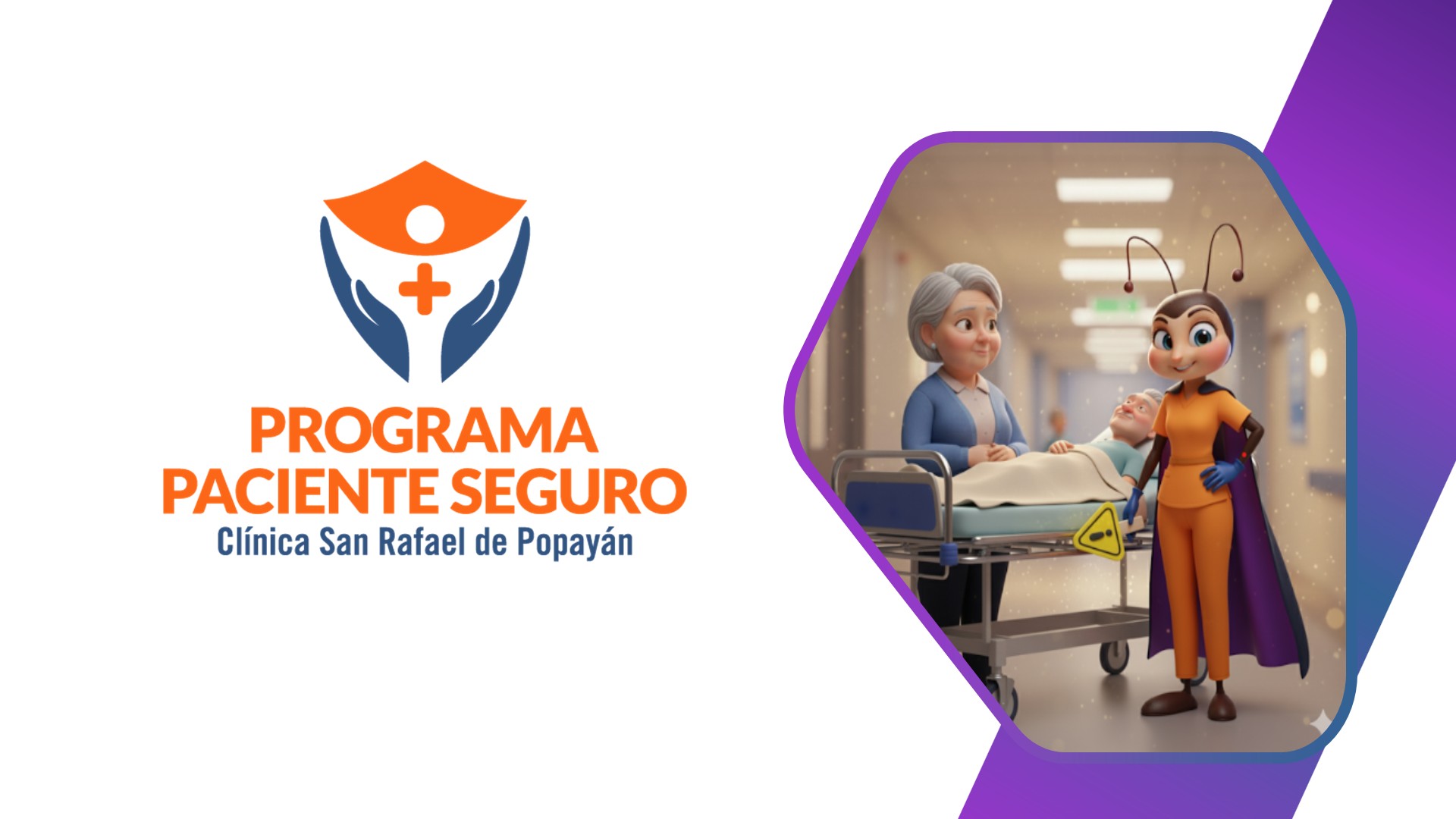 SEGURIDAD DEL PACIENTE 2026 ASISTENCIALES 